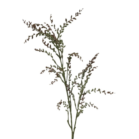 Berry Branch