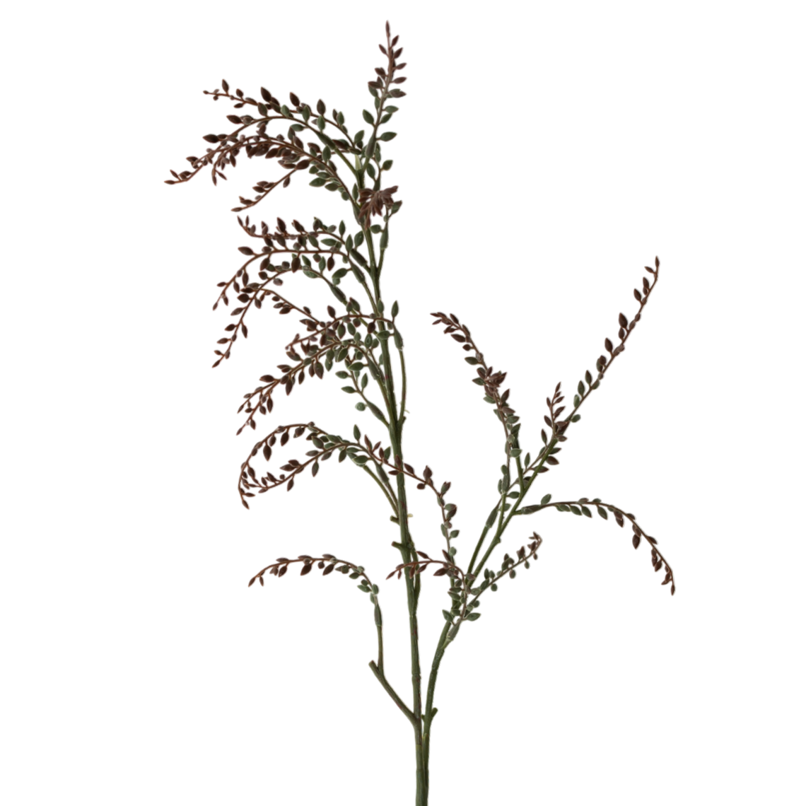 FS150 RE GR Berry Branch 36" PK 24