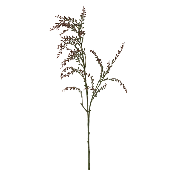 FS150 RE GR Berry Branch 36" PK 24