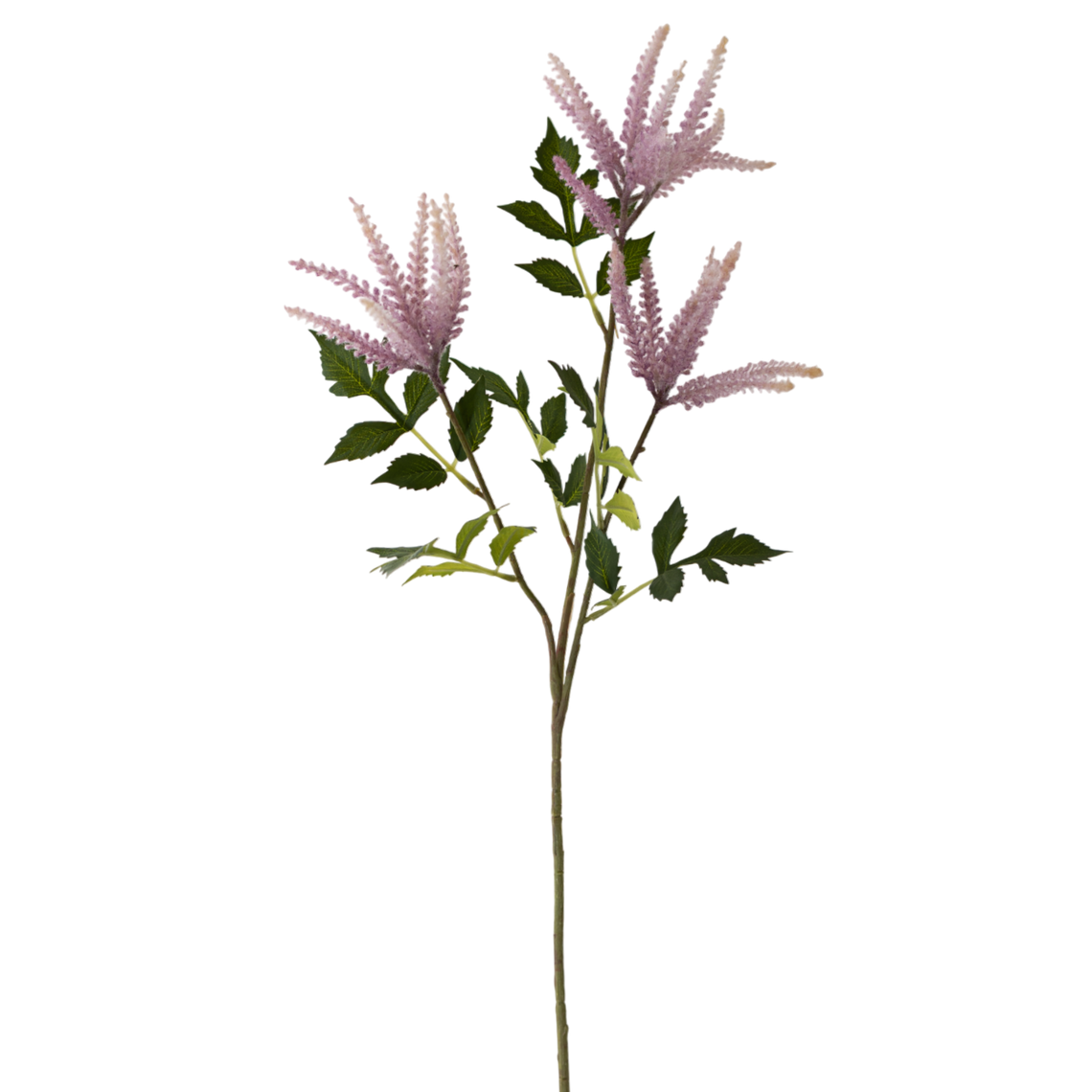 FS152 LT PU Nephila 32" PK 12