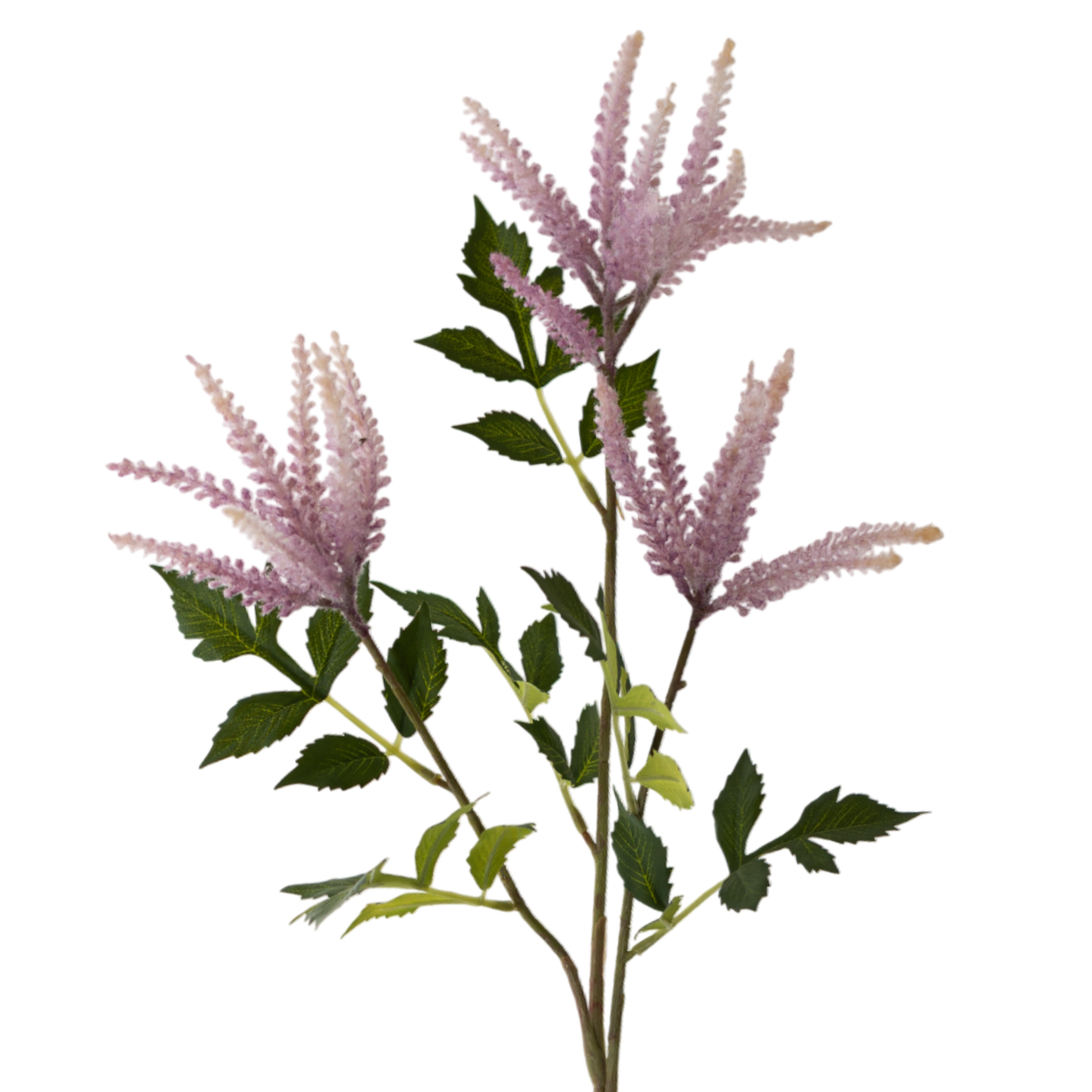 FS152 LT PU Nephila 32" PK 12