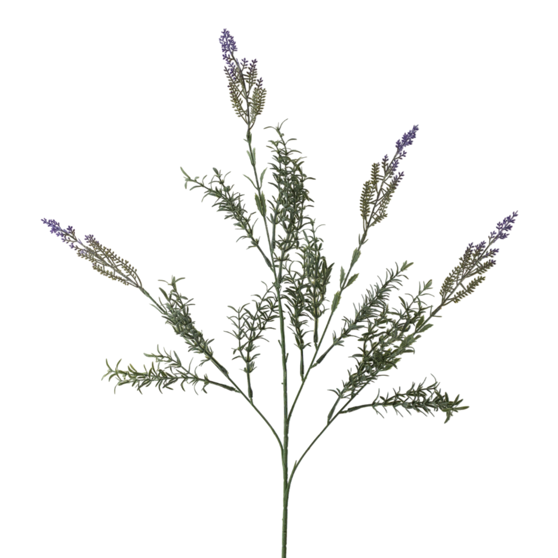 FS154 PU Lavender 31.5" PK 12