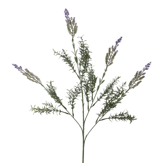 FS154 PU Lavender 31.5" PK 12