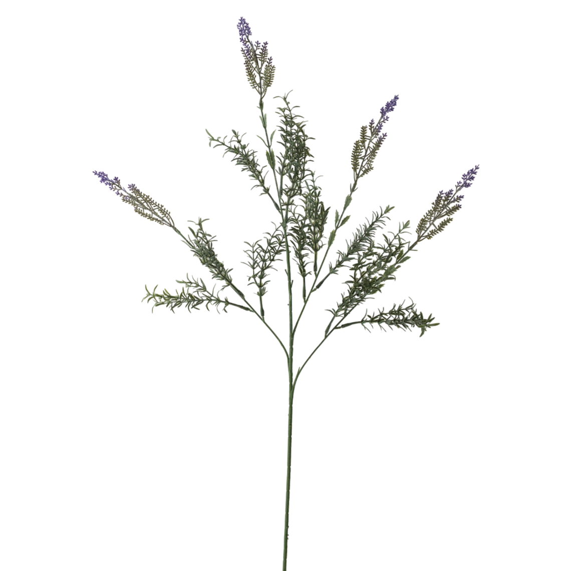 FS154 PU Lavender 31.5" PK 12