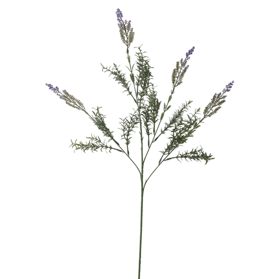 FS154 PU Lavender 31.5" PK 12