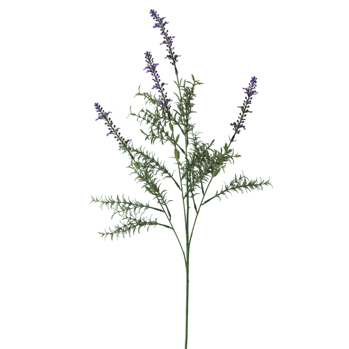 FS155 PU Lavender 32" PK 12