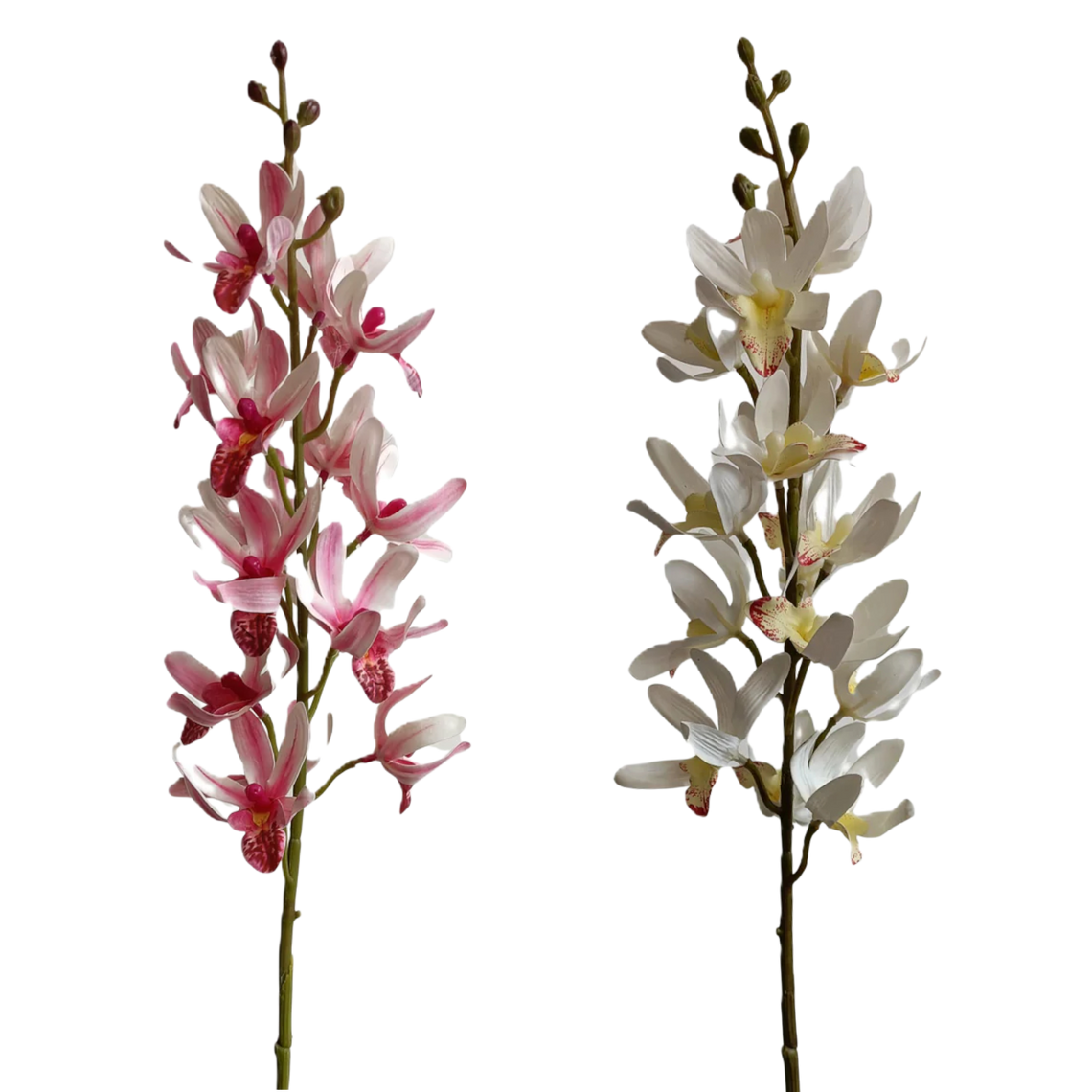 FS156 Cymbidium Orchid 31" PK 12