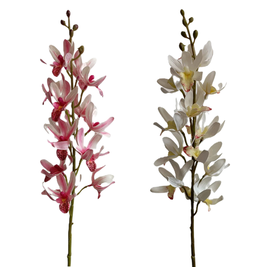 FS156 Cymbidium Orchid 12" PK 12