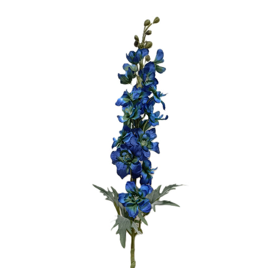 Delphinium