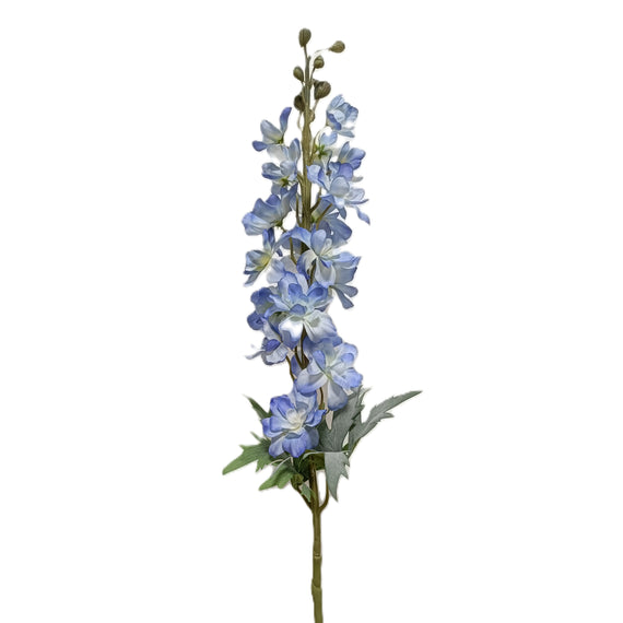 Delphinium
