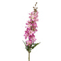 Delphinium