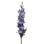 Delphinium