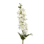 Delphinium