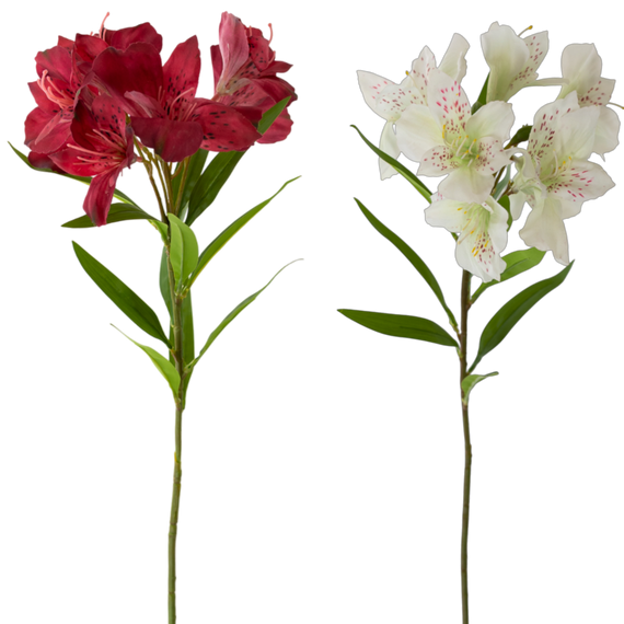 FS158 Azalea 28.5" PK 12