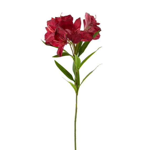 FS158 Azalea 28.5" PK 12