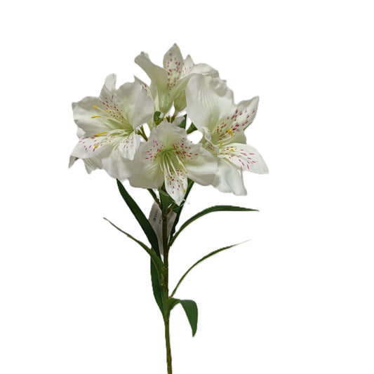 Azalea