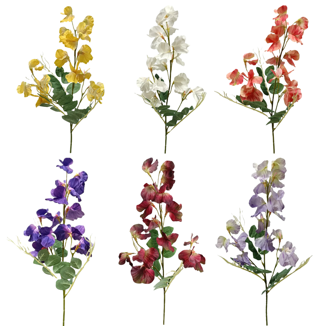 FS160 Pea Blossom 26" PK 24