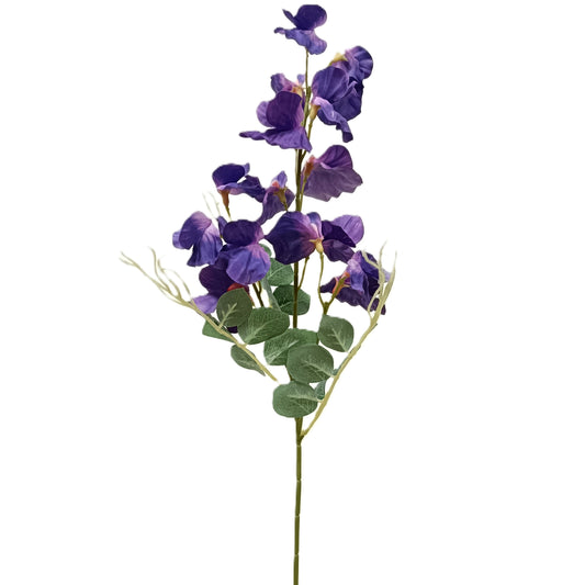 Pea Blossom