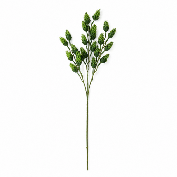 FS162 GR Hop Branch 24" PK 24