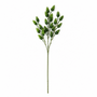 FS162 GR Hop Branch 24" PK 24