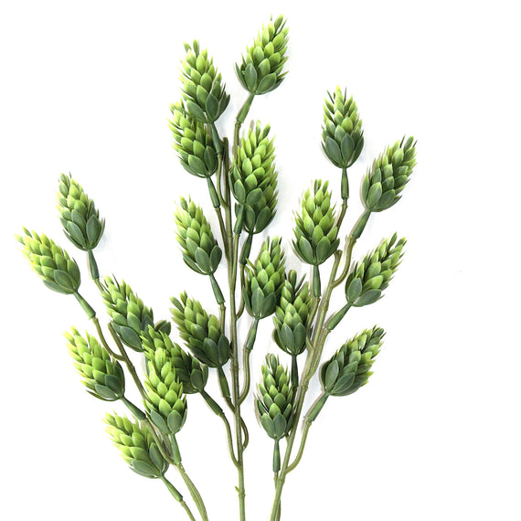 FS162 GR Hop Branch 24" PK 24