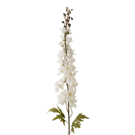 FS163 WH Delphinium 12" PK 12