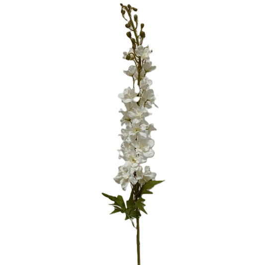 Delphinium