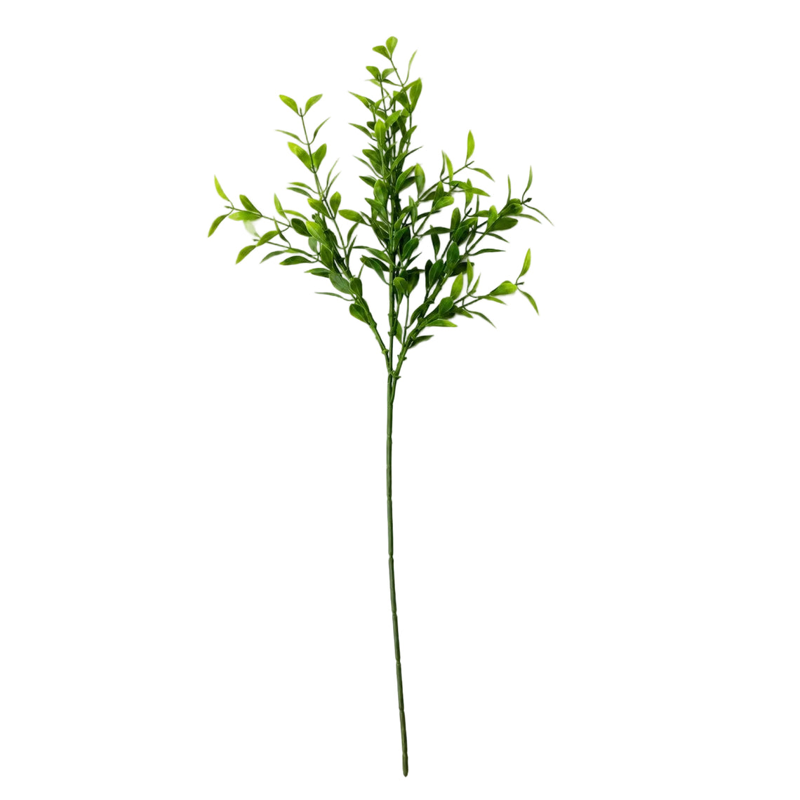 FS164 GREENERY BRANCH PK 24