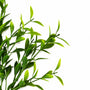 FS164 GREENERY BRANCH PK 24