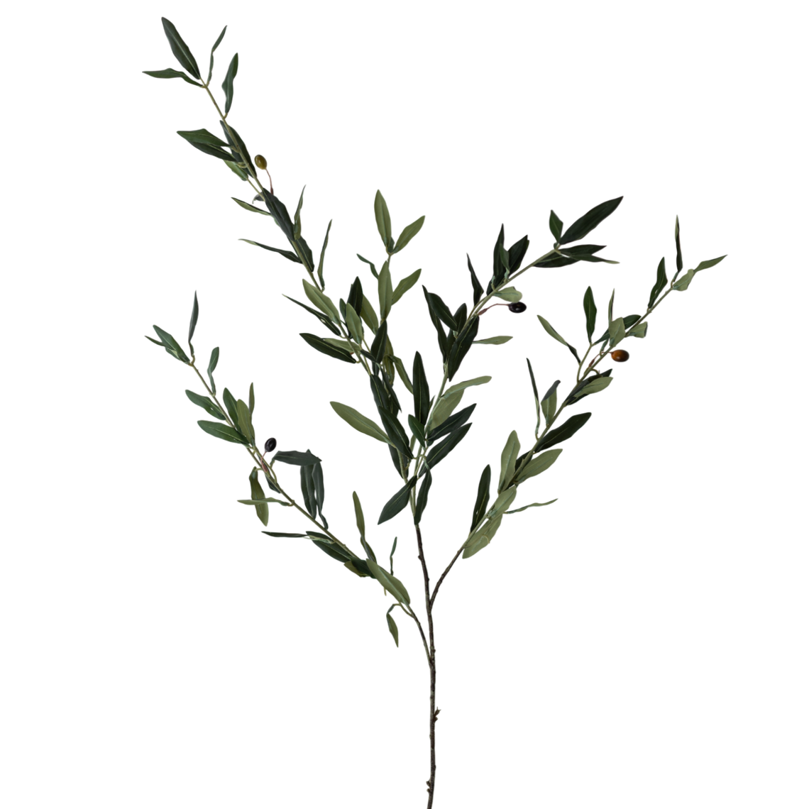 FS165 GR Olive 44" PK 12