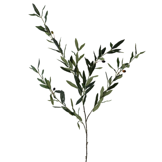 FS165 GR Olive 44" PK 12