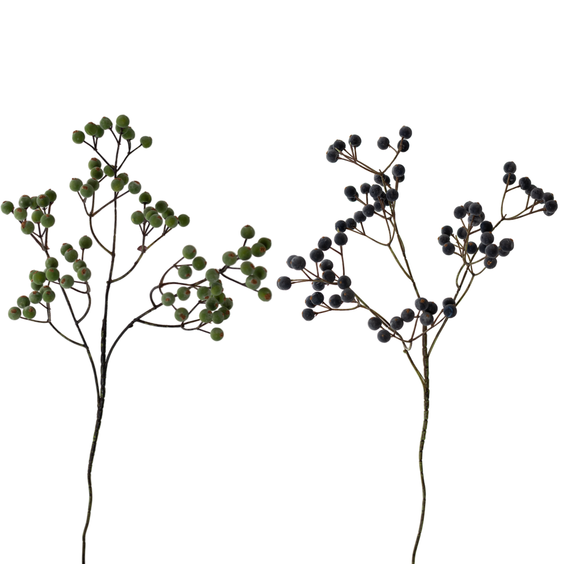 FS166 Berry 24" PK 24