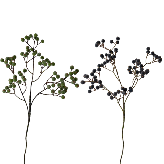 FS166 Berry 24" PK 24