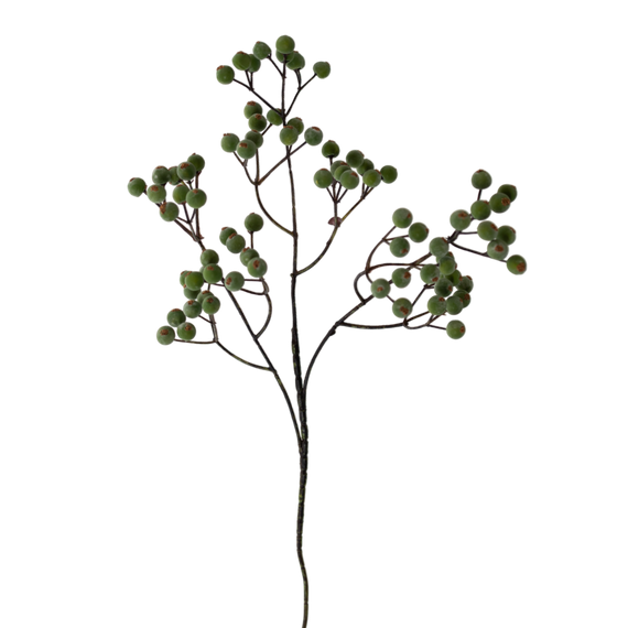 FS166 Berry 24" PK 24