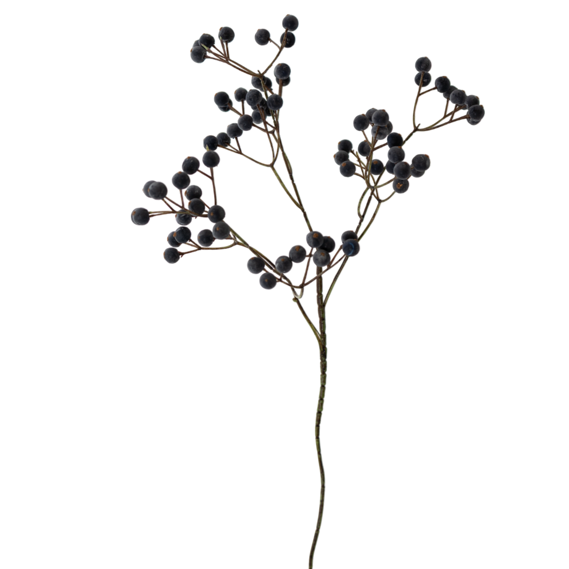 FS166 Berry 24" PK 24