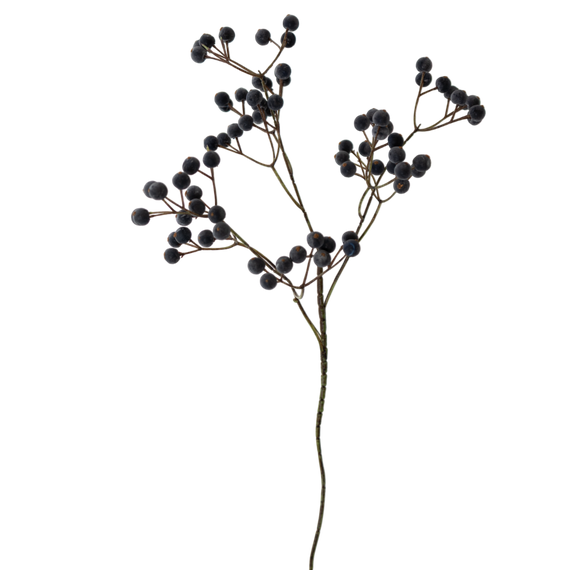 FS166 Berry 24" PK 24