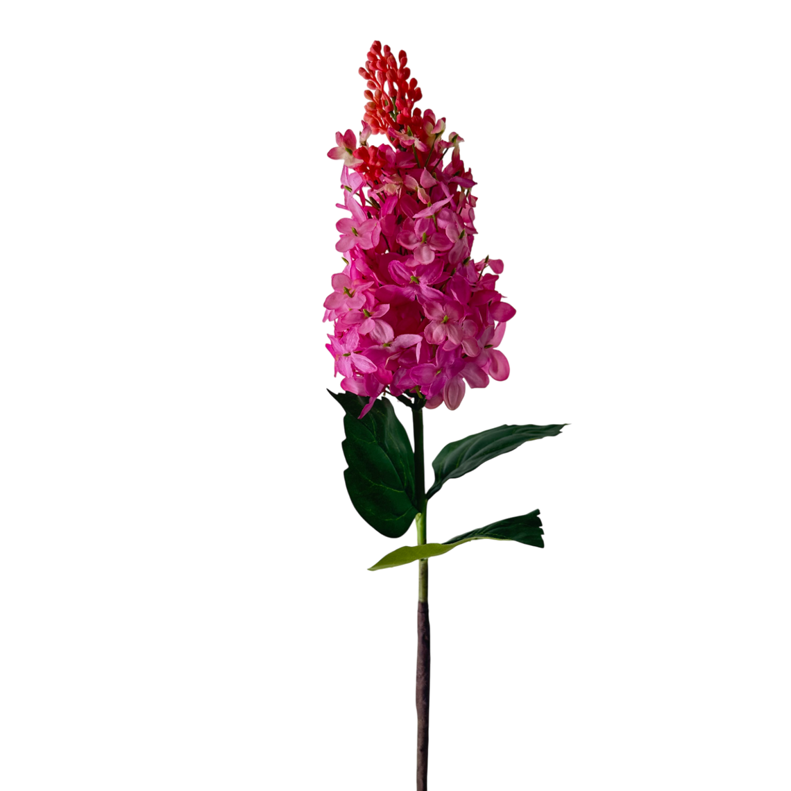 FS167 PU Lilac 29.5" PK 24