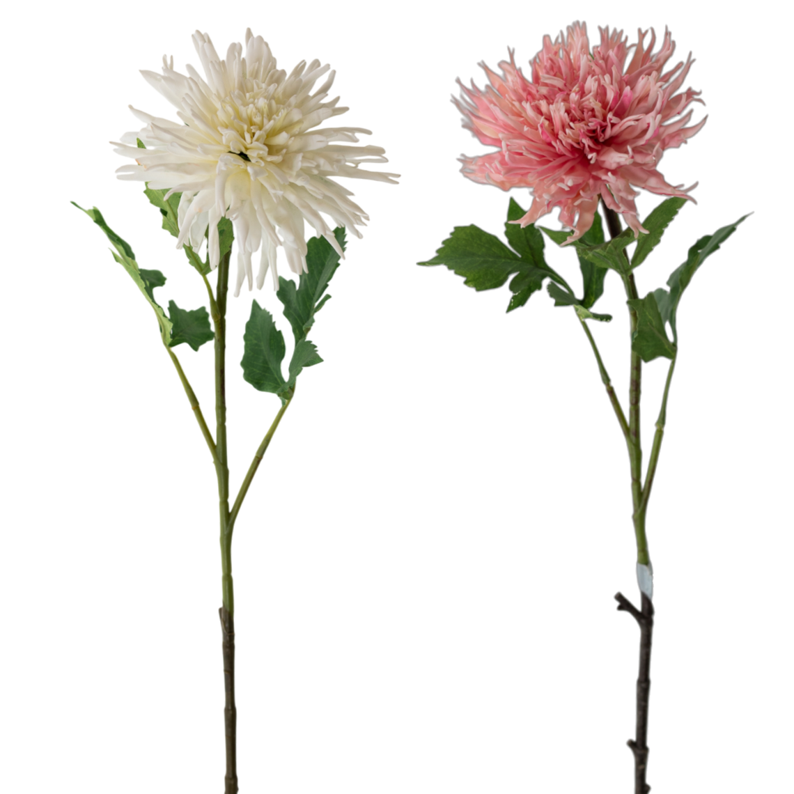 FS168 Chrysanthemum 29.5" PK 12