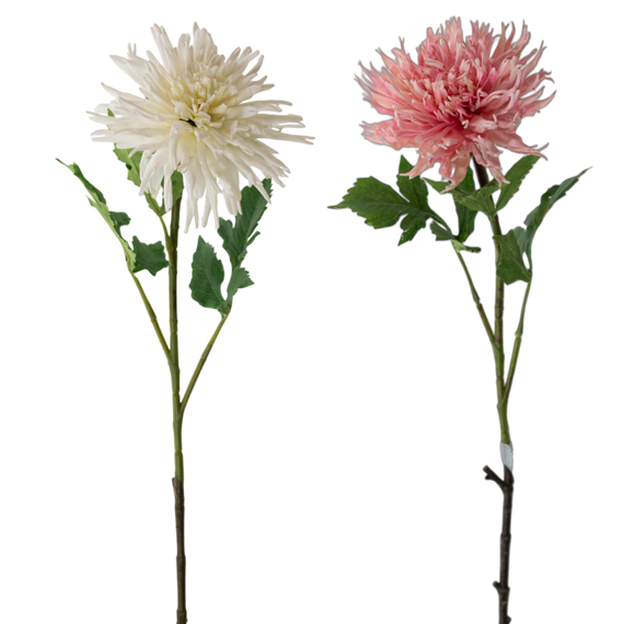 FS168 Chrysanthemum 29.5" PK 12