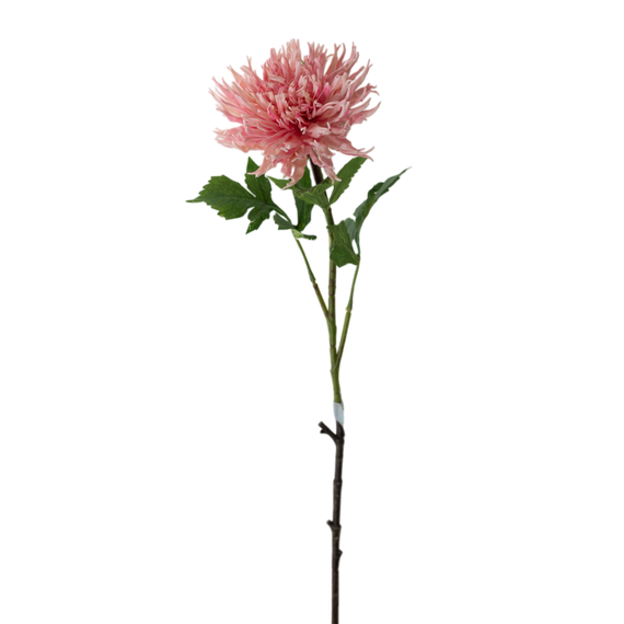 FS168 Chrysanthemum 29.5" PK 12