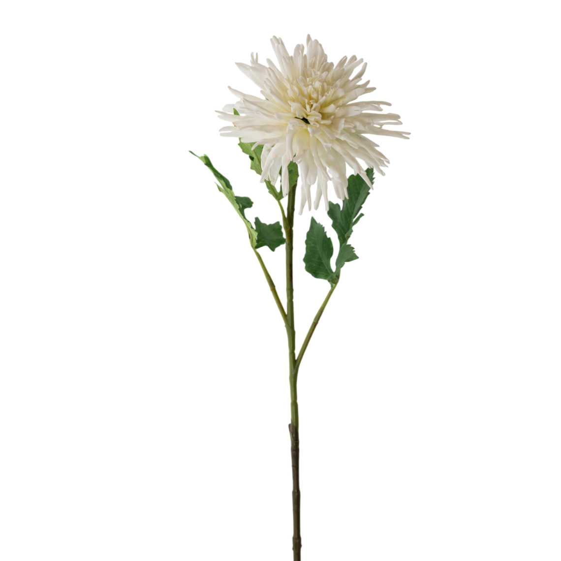 FS168 Chrysanthemum 29.5" PK 12