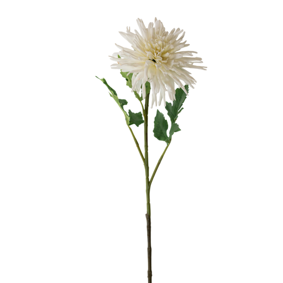 FS168 Chrysanthemum 29.5" PK 12