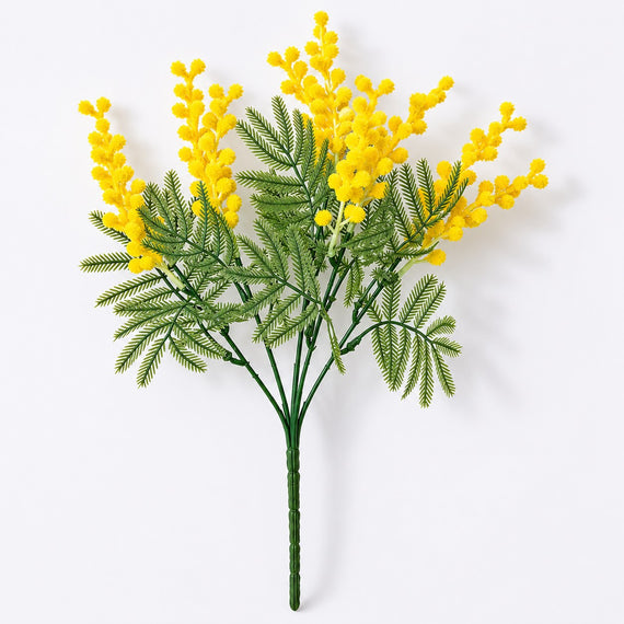 FS172 YE Acacia 13.5"  PK 24
