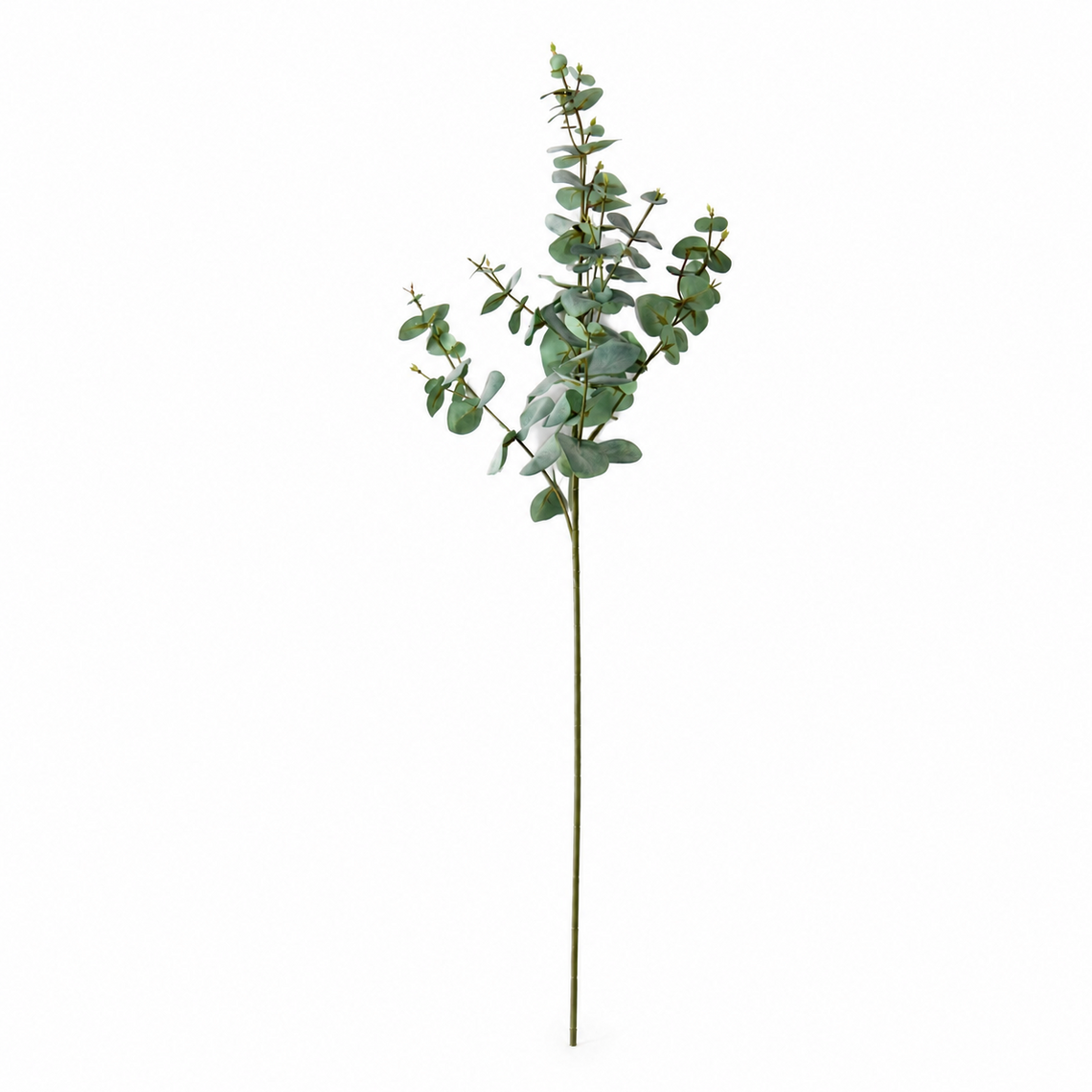 FS174 GR Eucalyptus 39" PK 12
