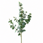 FS174 GR Eucalyptus 39" PK 12