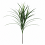 FS179 GRASS SPRAY 37.5" PK 12