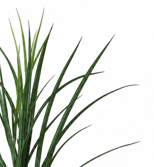 FS179 GRASS SPRAY 37.5" PK 12