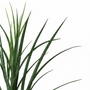 FS179 GRASS SPRAY 37.5" PK 12