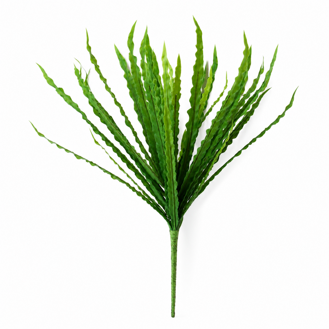FS185 Fishtail Fern 17" PK 12