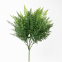 FS186 Fern 24" x7  PK 6
